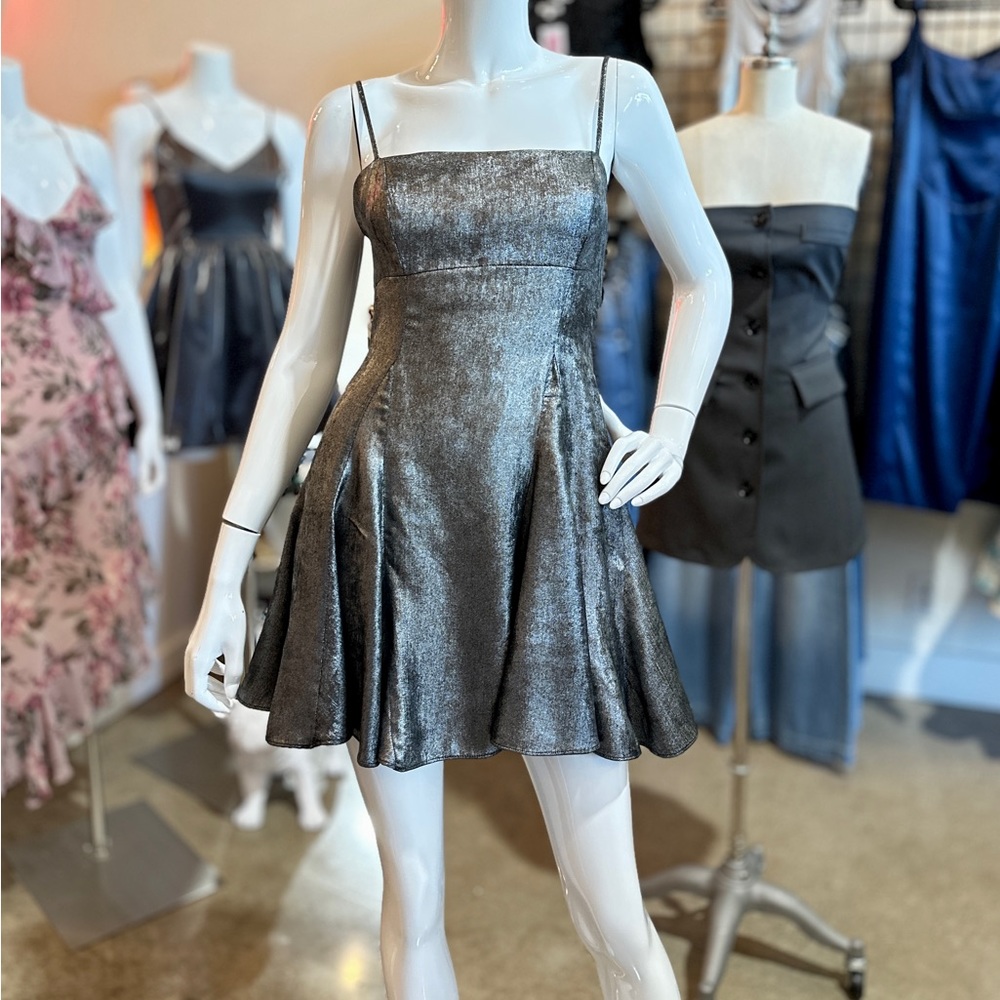 Country Chic Fitted  Metallic Fit & Flare Mini Party Dress
